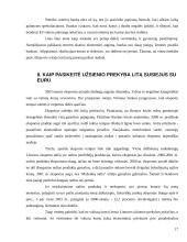 Tarptautinis euro vaidmuo šalių ekonomikose 17 puslapis