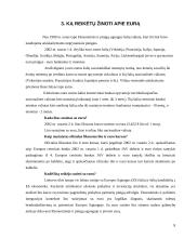 Tarptautinis euro vaidmuo šalių ekonomikose 8 puslapis