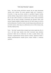 Teisės sampratų įvairovė 13 puslapis