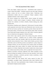 Teisės sampratų įvairovė 16 puslapis