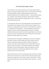 Teisės sampratų įvairovė 17 puslapis