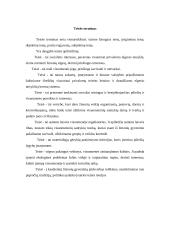 Teisės sampratų įvairovė 5 puslapis