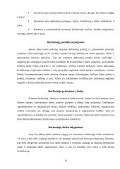 Teisiniai-organizaciniai personalo valdymo aspektai, jų privalumai ir trūkumai 13 puslapis