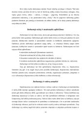 Teisiniai-organizaciniai personalo valdymo aspektai, jų privalumai ir trūkumai 14 puslapis