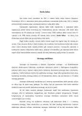 Teisiniai-organizaciniai personalo valdymo aspektai, jų privalumai ir trūkumai 10 puslapis