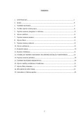 Tepimo sistema 2 puslapis