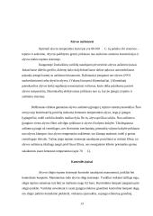 Tepimo sistema 13 puslapis