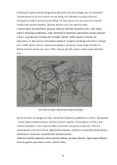 Tepimo sistema 16 puslapis