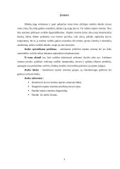 Tepimo sistema 3 puslapis