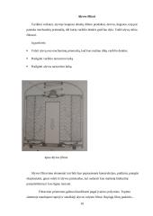 Tepimo sistema 10 puslapis