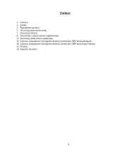 Tiesioginės užsienio investicijos Lietuvai 2 puslapis