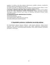 Tiesioginės užsienio investicijos Lietuvai 11 puslapis