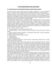 Tiesioginės užsienio investicijos Lietuvai 12 puslapis