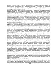 Tiesioginės užsienio investicijos Lietuvai 13 puslapis