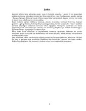 Tiesioginės užsienio investicijos Lietuvai 3 puslapis