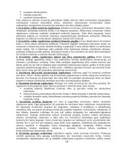 Tiesioginės užsienio investicijos Lietuvai 10 puslapis