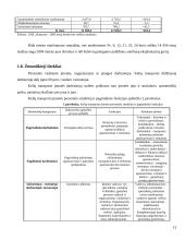 Transporto įmonės valdymas: UAB "Busturas" 13 puslapis