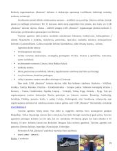 Transporto įmonės valdymas: UAB "Busturas" 18 puslapis