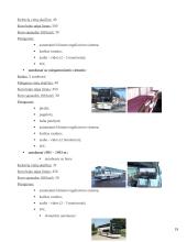 Transporto įmonės valdymas: UAB "Busturas" 19 puslapis
