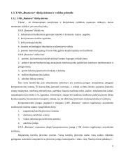 Transporto įmonės valdymas: UAB "Busturas" 6 puslapis