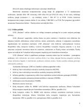 Transporto įmonės valdymas: UAB "Busturas" 8 puslapis