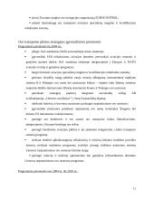 Transporto problemos Lietuvoje 11 puslapis