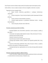 Transporto problemos Lietuvoje 13 puslapis