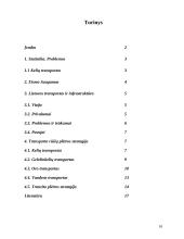 Transporto problemos Lietuvoje 18 puslapis