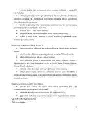 Transporto problemos Lietuvoje 8 puslapis