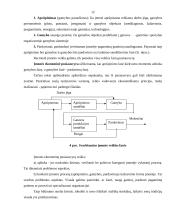 Vadybos mokslo objektas, dalykas ir ryšys su kitais mokslais 12 puslapis