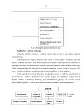 Vadybos mokslo objektas, dalykas ir ryšys su kitais mokslais 15 puslapis