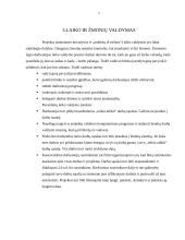 Vadovo darbo laiko planavimo principai 13 puslapis