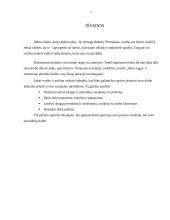 Vadovo darbo laiko planavimo principai 14 puslapis