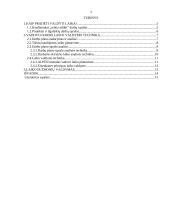 Vadovo darbo laiko planavimo principai 3 puslapis