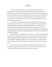 Vadovo darbo laiko planavimo principai 4 puslapis