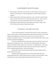 Vadovo darbo laiko planavimo principai 5 puslapis