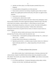 Vadovo darbo laiko planavimo principai 8 puslapis