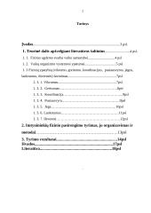 Vaikų fizinis pasirengimas: Kelmės rajono dziudo klubo 10-15 metų imtynininkės 2 puslapis