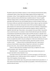 Vaikų fizinis pasirengimas: Kelmės rajono dziudo klubo 10-15 metų imtynininkės 3 puslapis