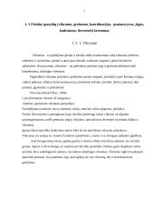 Vaikų fizinis pasirengimas: Kelmės rajono dziudo klubo 10-15 metų imtynininkės 7 puslapis