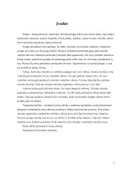 Valiutų kursus veikiantys veiksniai ir tarptautinės politikos valiutos kursų atžvilgiu koordinavimas 2 puslapis