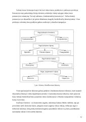 Valiutų kursus veikiantys veiksniai ir tarptautinės politikos valiutos kursų atžvilgiu koordinavimas 12 puslapis