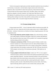 Valiutų kursus veikiantys veiksniai ir tarptautinės politikos valiutos kursų atžvilgiu koordinavimas 15 puslapis