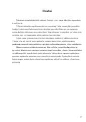 Valiutų kursus veikiantys veiksniai ir tarptautinės politikos valiutos kursų atžvilgiu koordinavimas 17 puslapis