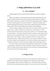 Valiutų kursus veikiantys veiksniai ir tarptautinės politikos valiutos kursų atžvilgiu koordinavimas 3 puslapis