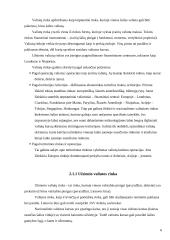 Valiutų kursus veikiantys veiksniai ir tarptautinės politikos valiutos kursų atžvilgiu koordinavimas 6 puslapis