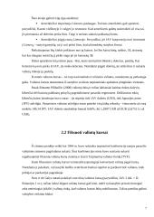 Valiutų kursus veikiantys veiksniai ir tarptautinės politikos valiutos kursų atžvilgiu koordinavimas 7 puslapis