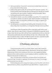 Valiutų kursus veikiantys veiksniai ir tarptautinės politikos valiutos kursų atžvilgiu koordinavimas 8 puslapis