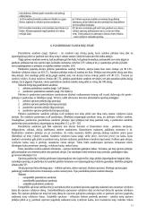 Valiutų rizikos valdymas. Opcionai 13 puslapis