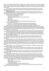 Valiutų rizikos valdymas. Opcionai 14 puslapis